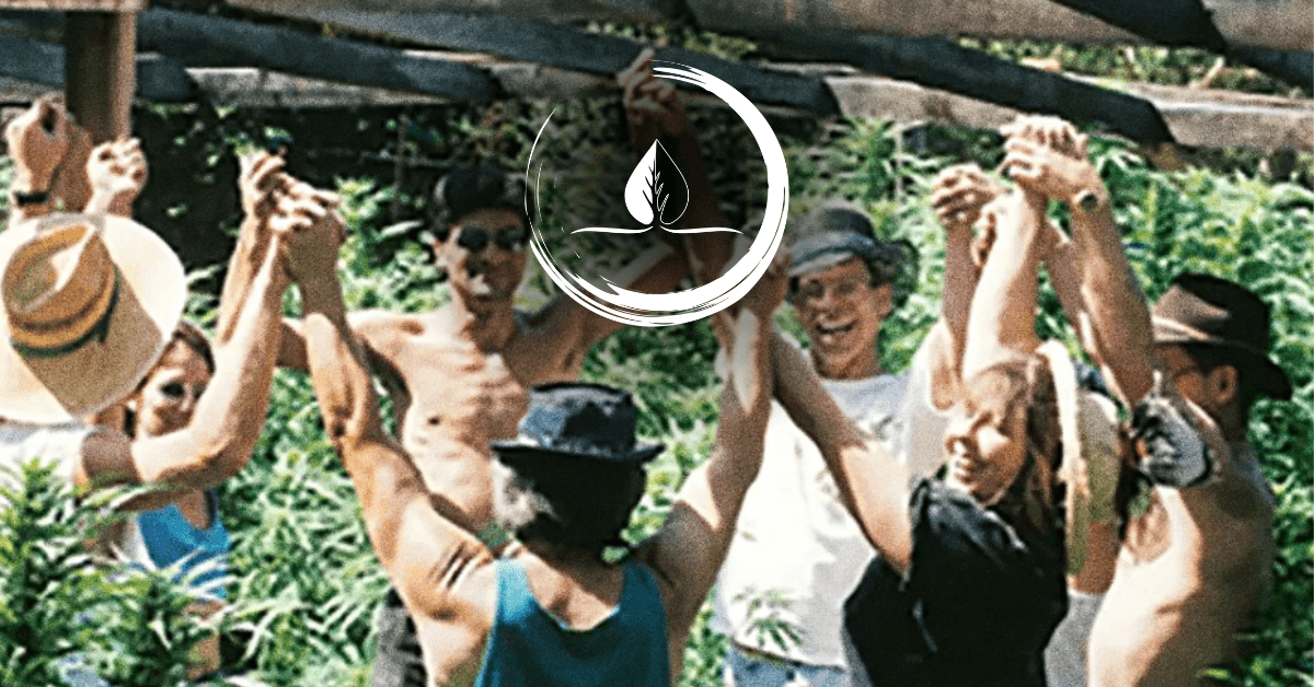 Santa Cruz Cannabis Dispensary Faces Opposition Despite Community Support