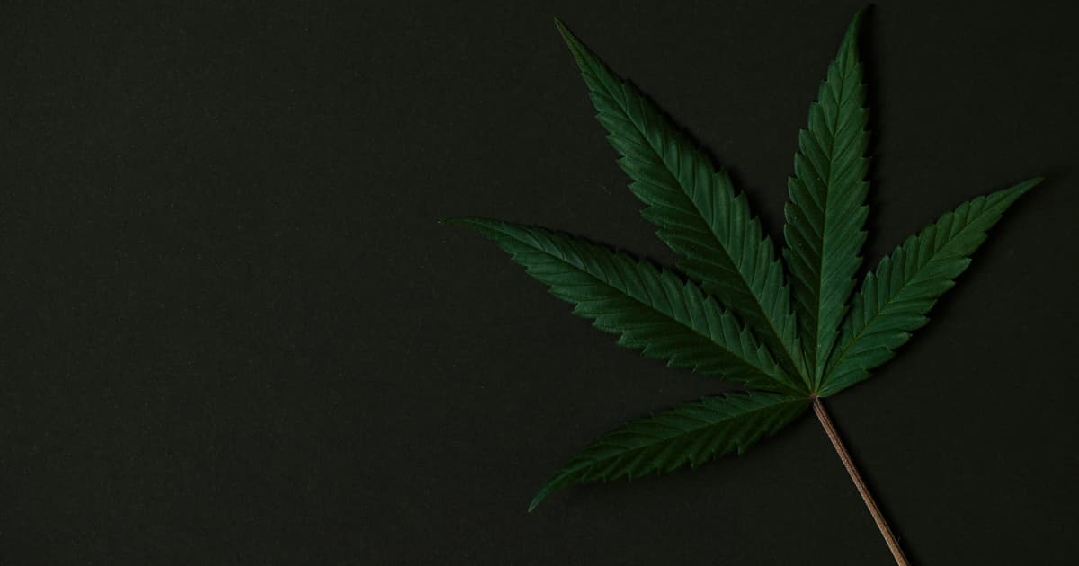 Ohio Attorney General Approves Language for Marijuana Law Referendum