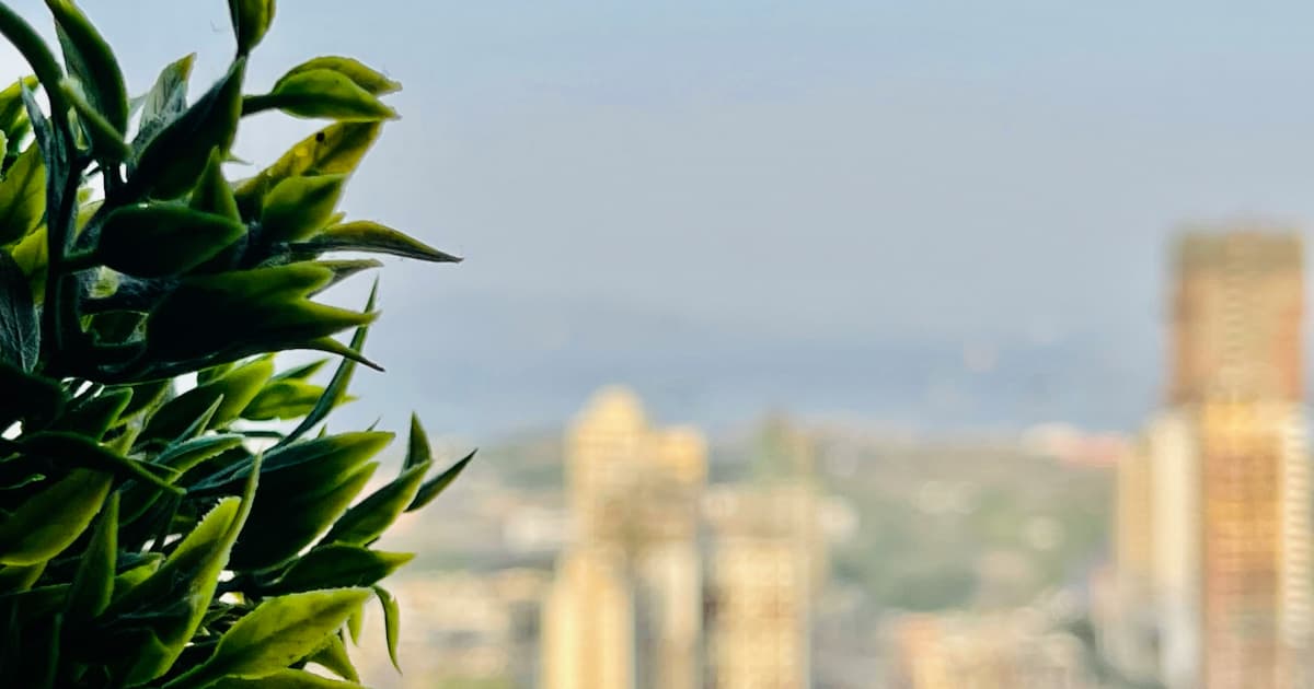 Study Links Prior Marijuana Use to Better Cognitive Function in Older Adults