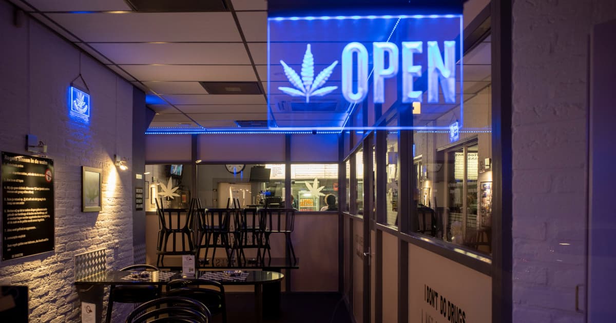 CK Distribution Launches Sticky, a New Premium Cannabis Brand, at Hall of Flowers 2024