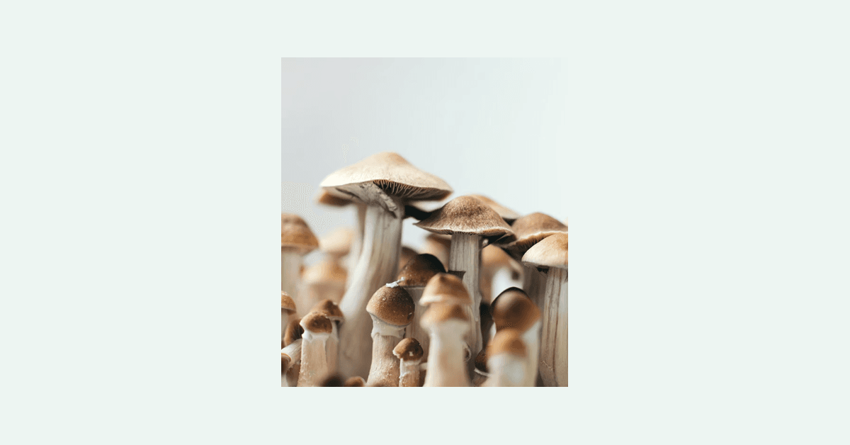 Psylutions CEO Calls for Regulated Pathways and Accurate Labeling Following Report on Unregulated Psilocybin Products