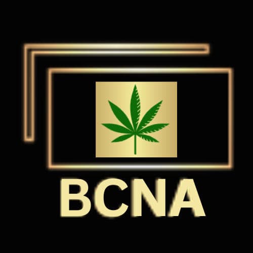 Best Copy Now Agency Specializes in Cannabis Website Audits and Content Marketing